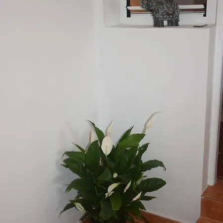 Apartment Garoe Acogedor Araya (Tenerife)