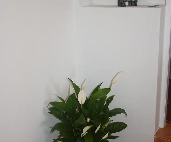 Appartamento Garoé Acogedor Araya (Tenerife)